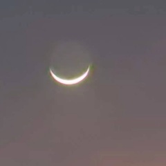 被打断的遗憾 (Demo)