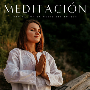 Meditación En El Bosque
