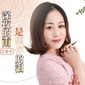 深夜的雨是想你的泪 (伴奏)