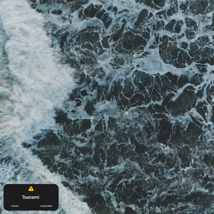 Tsunami