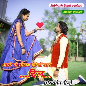 आऊं गी मीलब कीजो तारो दिल छोरा मोन दीजो