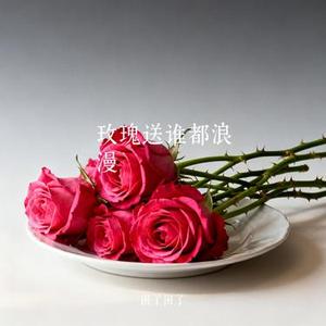 玫瑰送谁都浪漫