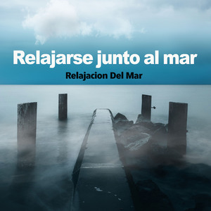 Small Stream, Big Bird Population