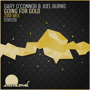 Going For Gold (200m Mix Radio Edit)