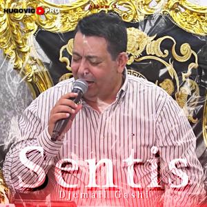 Djemail Gashi (Serbski Sentis)