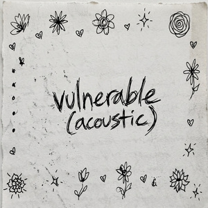 VULNERABLE (acoustic)