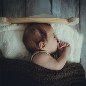 寧靜的棕色音頻(Loopable)