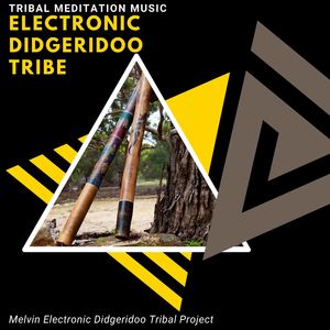 Didgeridoo Electronica Chill DnB