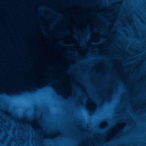 glassbones (slowed)