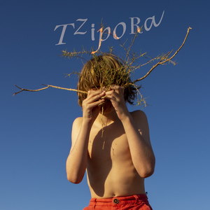 Mathilde’s Song (‘Richard Wagner’s Im Treibhaus cover-version’)