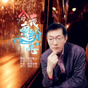 今夜雨纷飞
