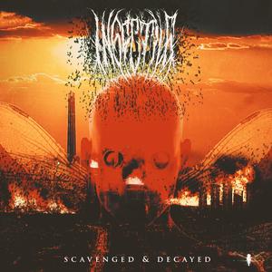 Scavenged and Decayed