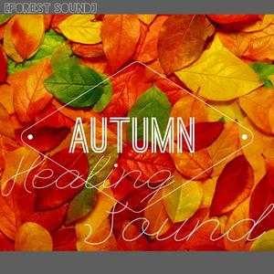 가을 숲속 빗소리