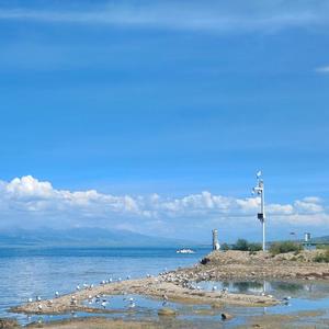 离群（cover 王艺瑾/陈卓璇/华承妍/林君怡/马思惠/张清/李治廷）（翻自 创造营2020）