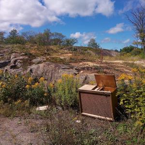 Vol. II: СЧАСТЬЯ, БЕСПЛАТНО, ДЛЯ ВСЕХ, И НЕ МОЖЕТ БЫТЬ ЗАБЫТЫ!