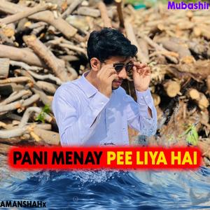 Pani Menay Pee Liya Hai