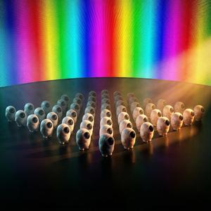 Drogenlied (Ich brauche Drogen jeden Tag)