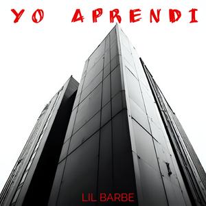 YO APRENDI