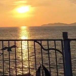 别到失去才懂得珍惜 VL.1