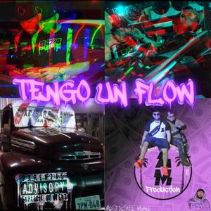 Tengo Un Flow (feat. Roberr N)