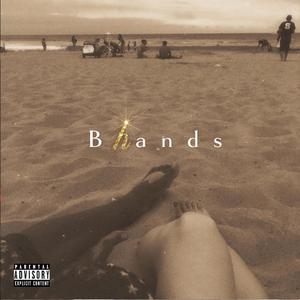 Bhands