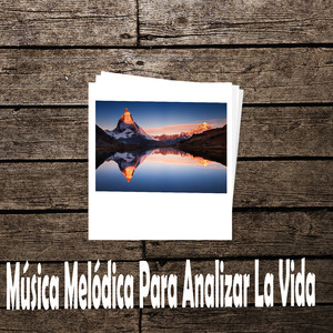 Flamenco Solitario