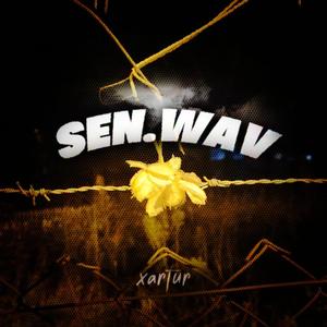 sen.wav