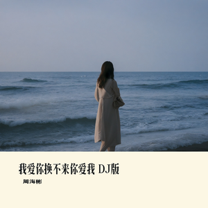 我爱你换不来你爱我DJ版 伴奏