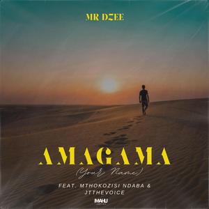 Amagama (Your Name) (feat. Mthokozisi Ndaba & JTtheVoice)