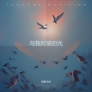 与我对望的光
