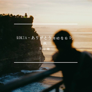KOKIA- ありがとう泪的告白（DJ小锦 remix）