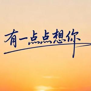 有一点点想你 (卡点节奏版)