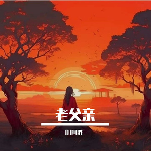 老父亲