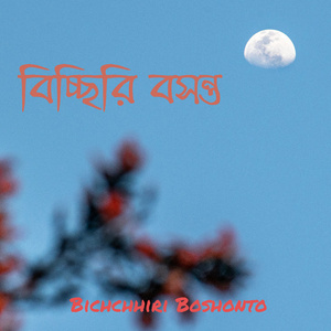 Bichchhiri Boshonto