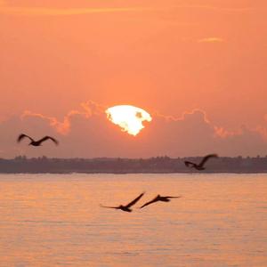 过期的你prod by 牙刷