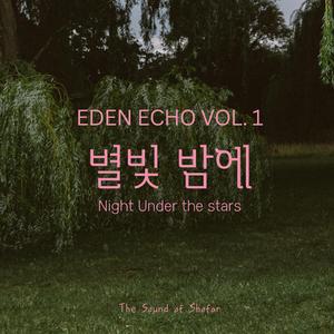 별빛 밤에 (Night Under the Stars)