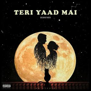 Teri Yaad Mai