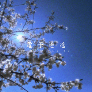 霓虹失重