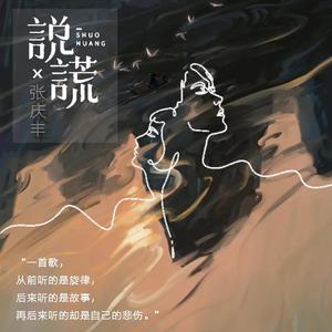 林宥嘉-说谎（张庆丰 remix）