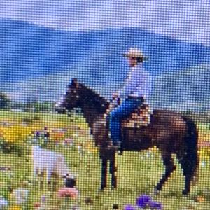 Pilipinong Cowboy