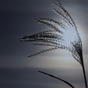 Songs of Love, Hope & Wonder: II. Except You