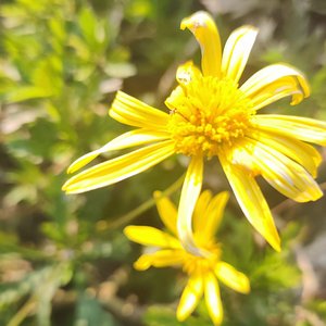 不能因为回忆而忘了为何分开