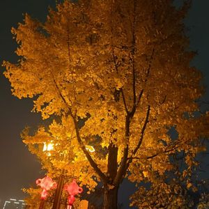 理想热情的旋律2