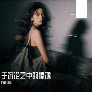 于沉沦之中的惊鸿