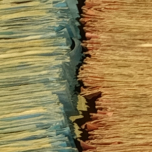 TANTO DINERO / LO MISMO