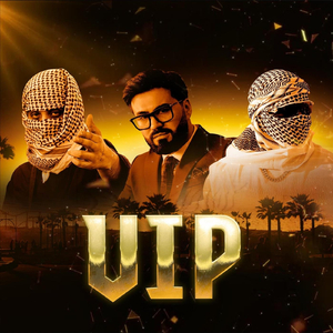 VIP (feat. Ditto & Asl Wayne)