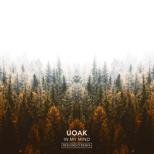 In My Mind (Redondo Extended Remix)