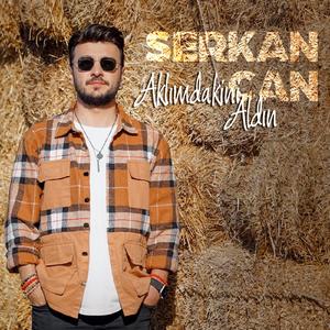 Aklımdakini Aldın