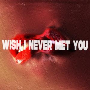 Wish I Never Met You