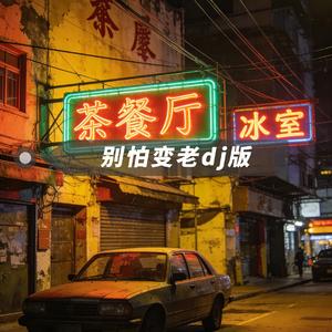 别怕变老DJ版